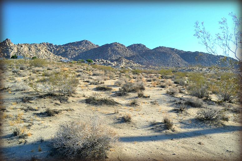 Sullivan Road