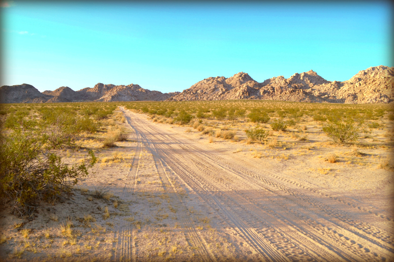 Lucerne Valley Acreage For Sale