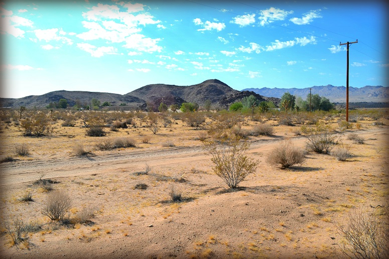 Joshua Tree Acreage For Sale