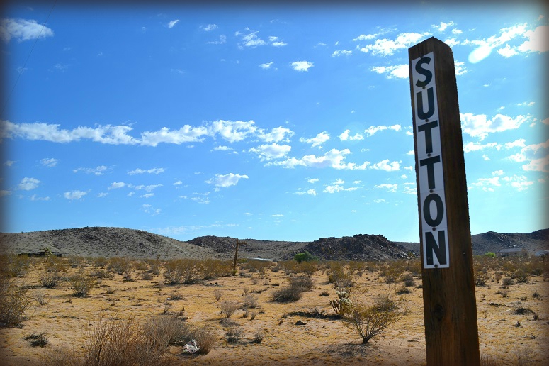 Sutton Avenue