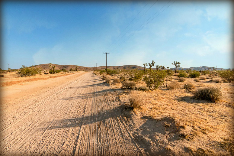 Joshua Tree Land For Sale