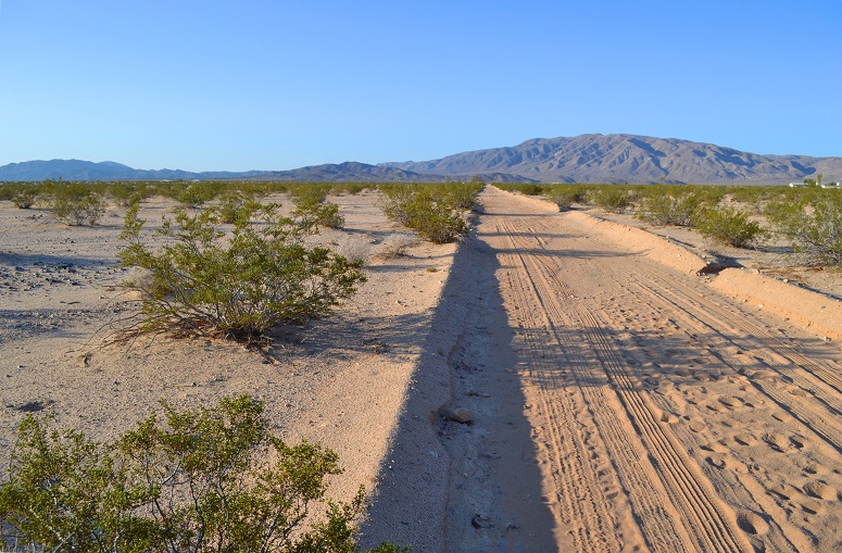 Wonder Valley Land For Sale