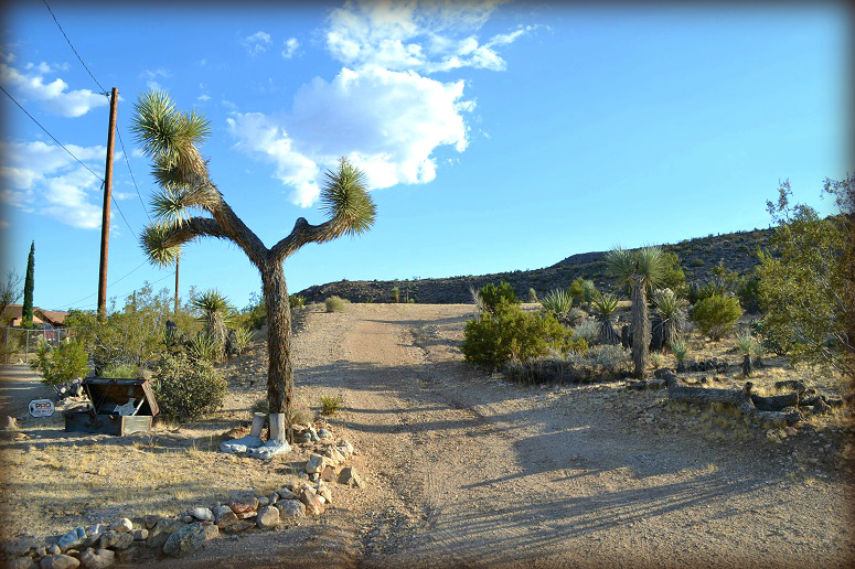 Yucca Valley Residential Lot For Sale