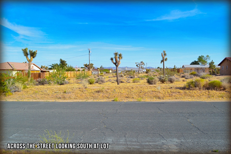 Belmont Street