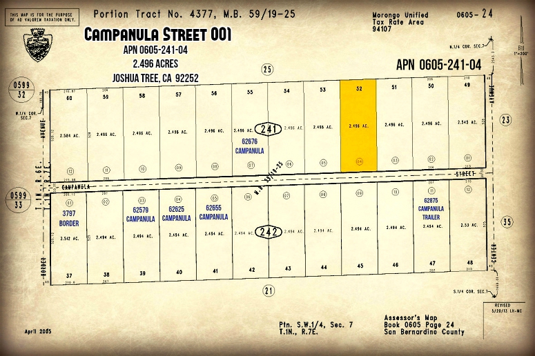 Campanula Street 001