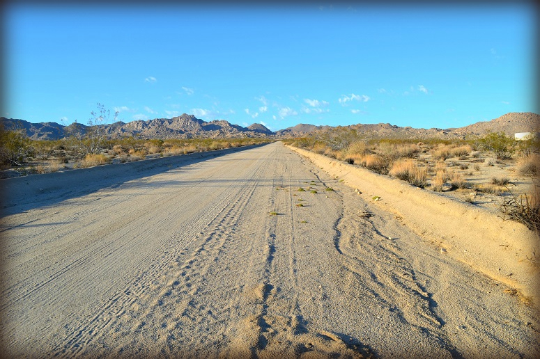 Joshua Tree Land For Sale