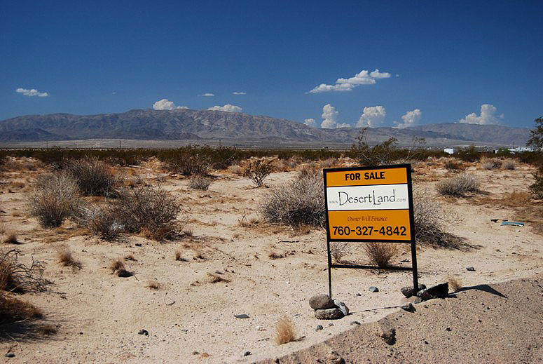 Amboy Road