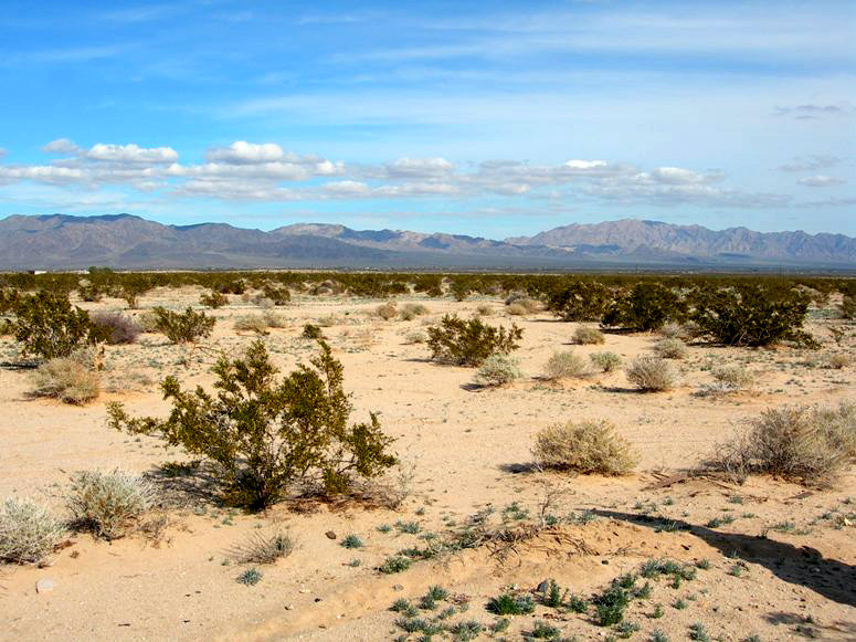 Two Mile Road