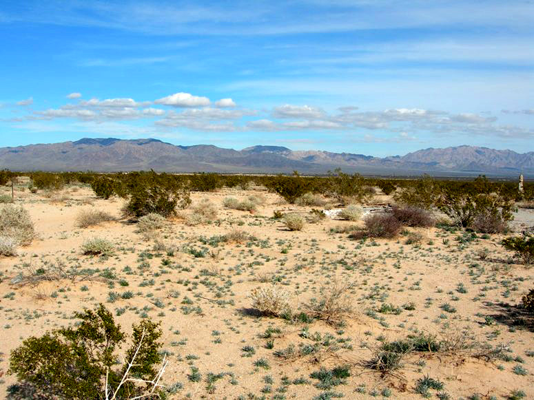Two Mile Road