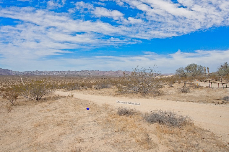 Amboy Road