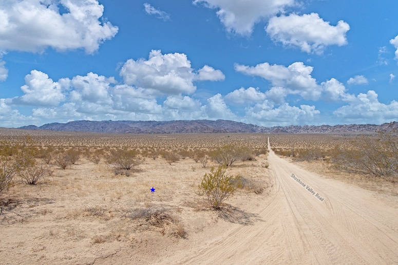 Amboy Road