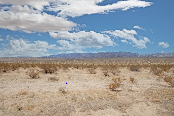 Amboy Road