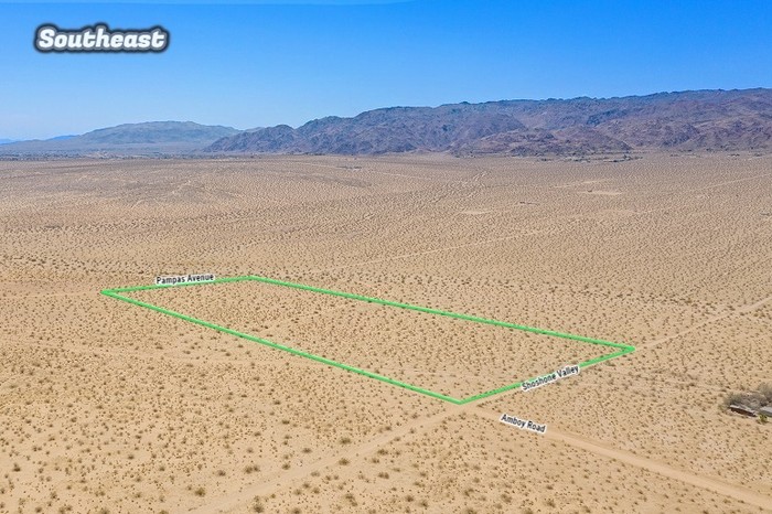 Amboy Road