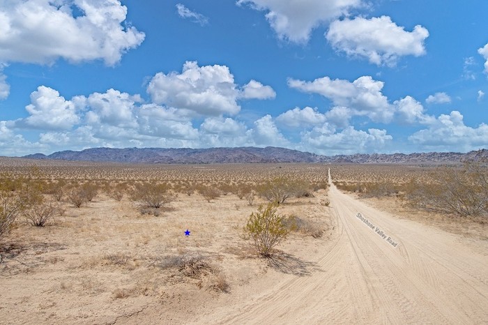 Amboy Road