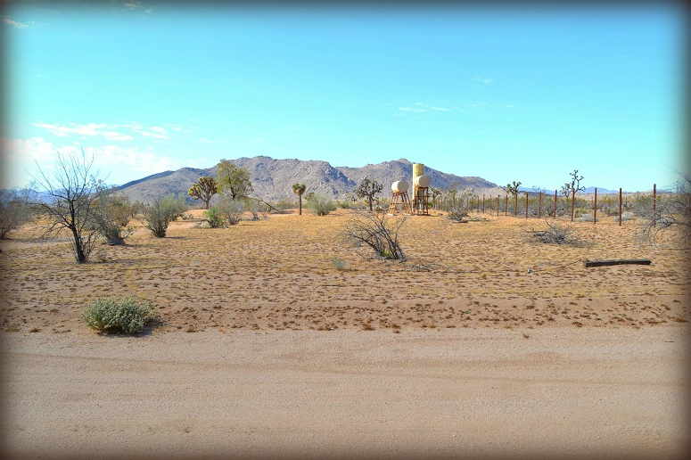 Yucca Valley Land For Sale