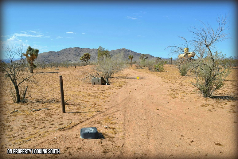 Mason Drive