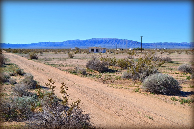 Wonder Valley Jack Rabbit Homestead For Sale