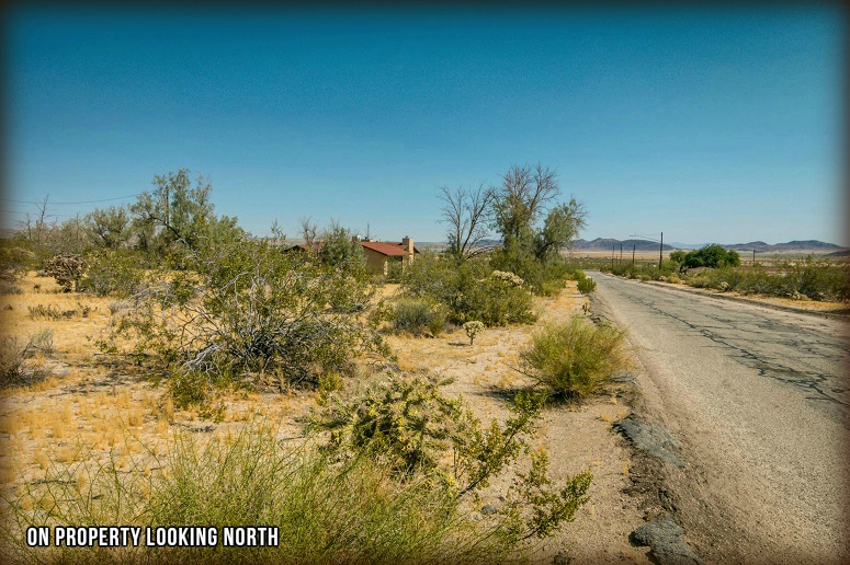 Joshua Tree Residential Land