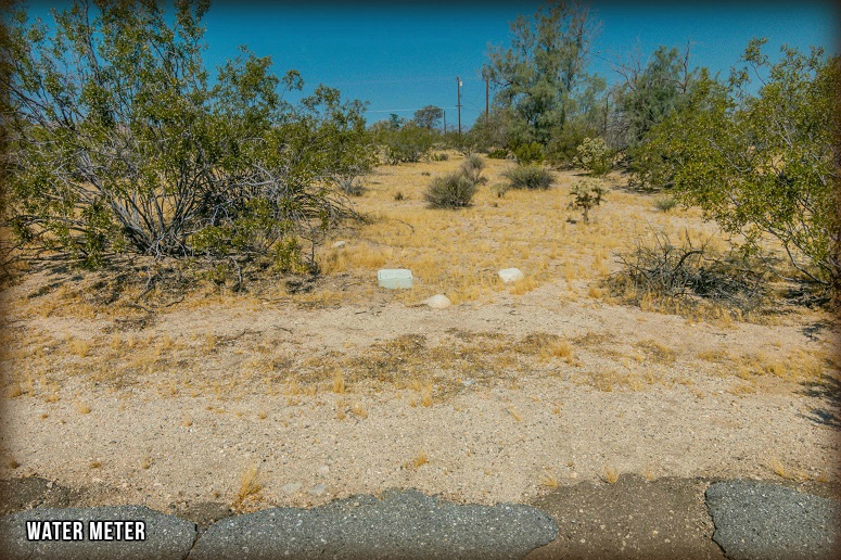 Mount Shasta Avenue