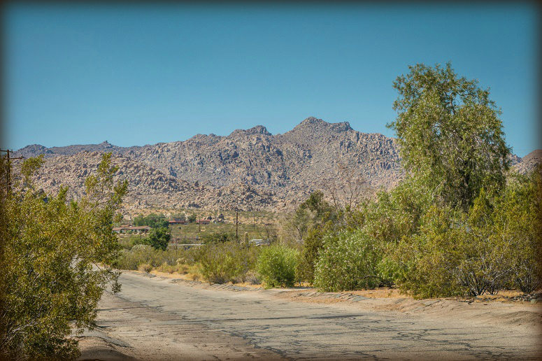 Mount Shasta Avenue