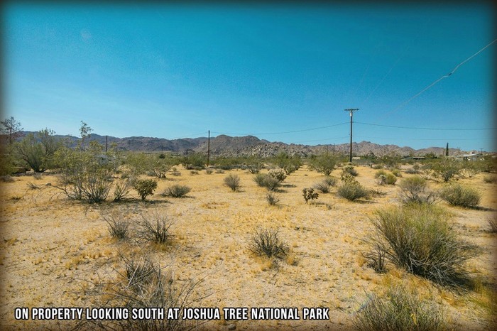 Mount Shasta Avenue