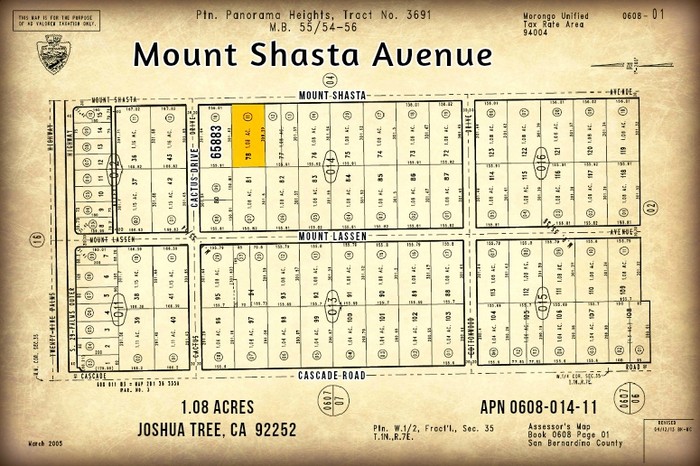 Mount Shasta Avenue