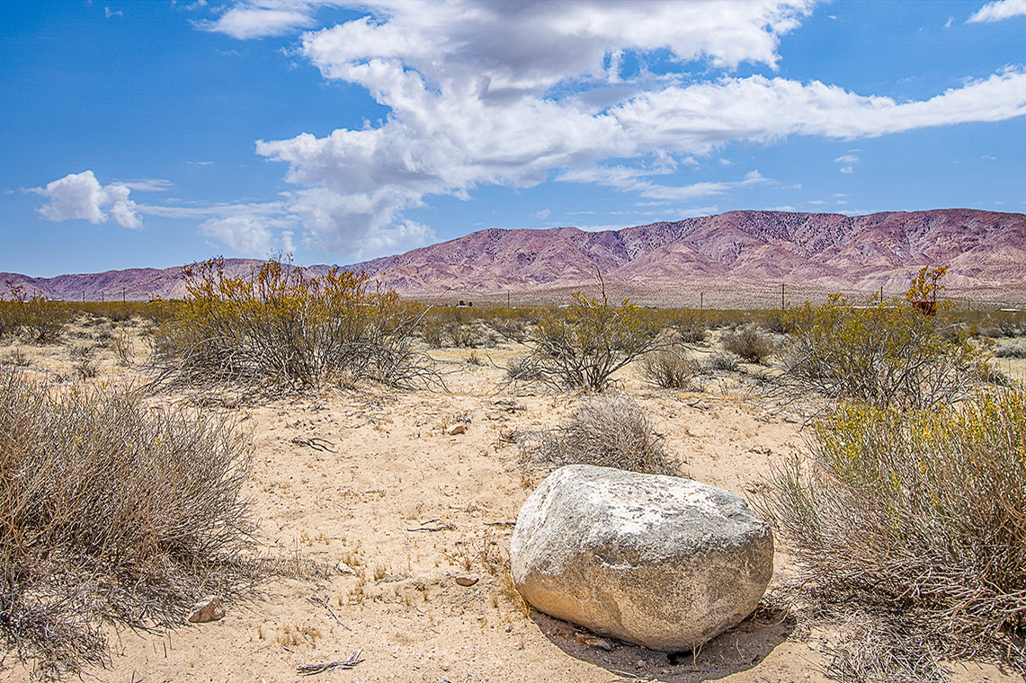 Saddle Rock Way
