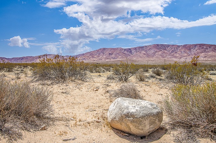 Saddle Rock Way