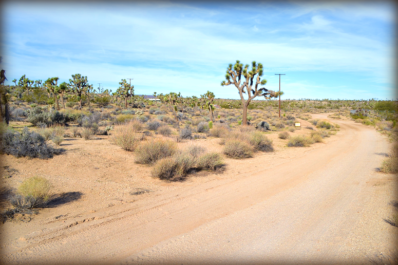 Yucca Valley Land For Sale