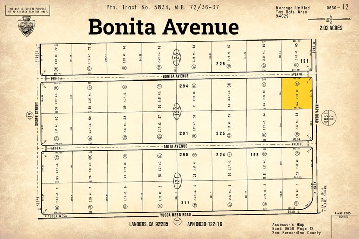 Bonita Avenue