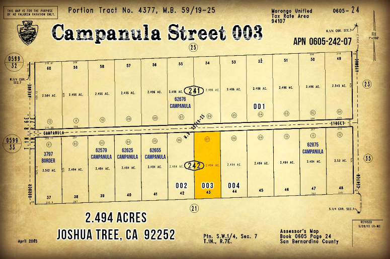 Campanula Street 003