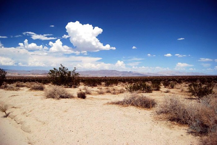 South of El Paseo Drive