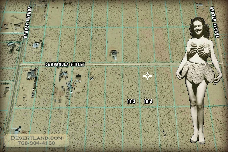 Joshua Tree Land For Sale