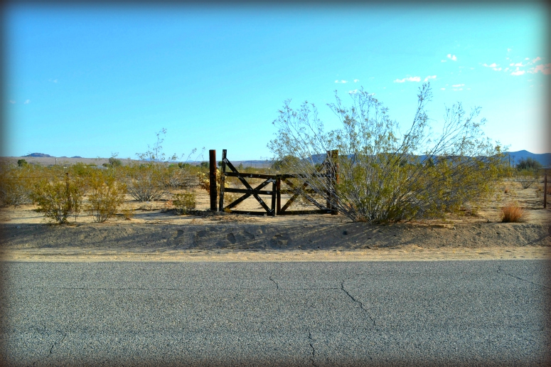 Joshua Tree Raw Land For Sale