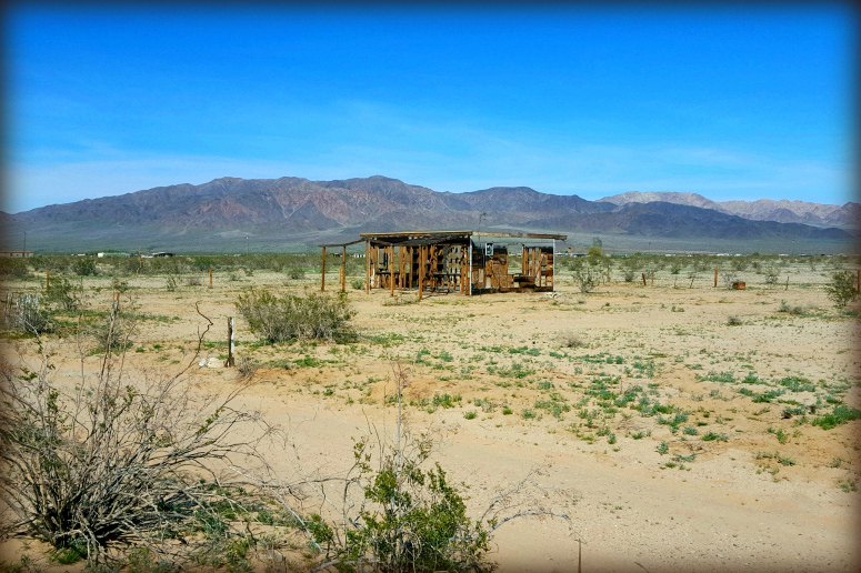 Wonder Valley Homestead Cabin For Sale