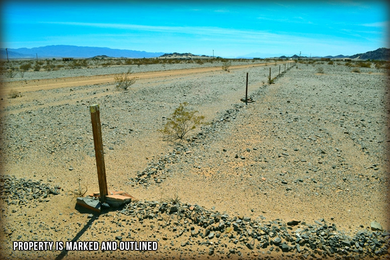 Mustang Road