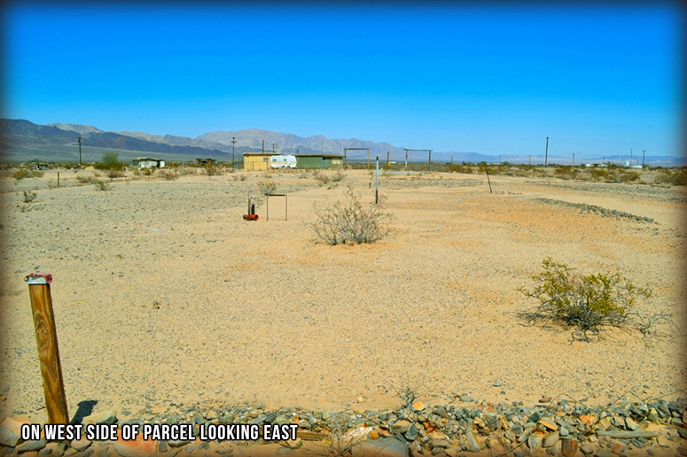 Mustang Road