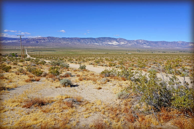 Lucerne Valley Land For Sale