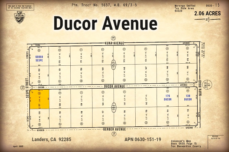 Ducor Avenue