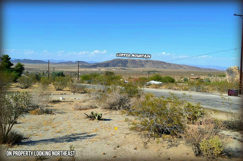 Mount Shasta Avenue