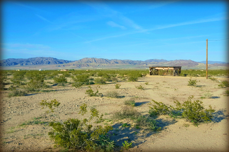 Wonder Valley Land For Sale