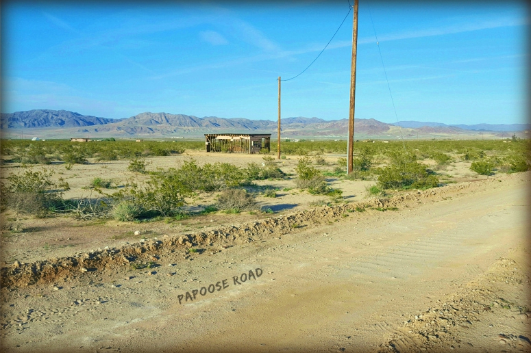 Papoose Road