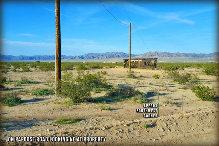 Papoose Road