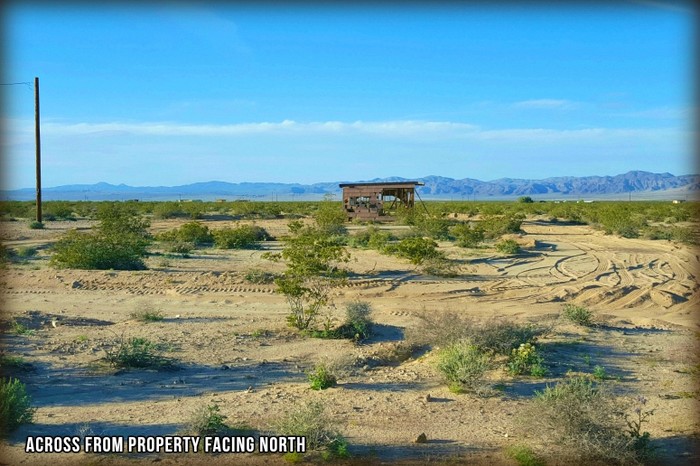 Papoose Road