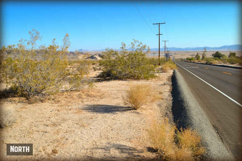 Lear Avenue