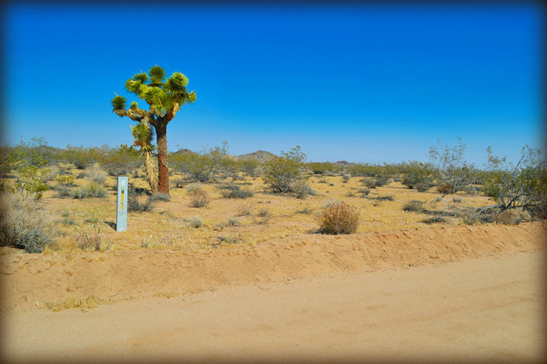 Yucca Valley Land For Sale