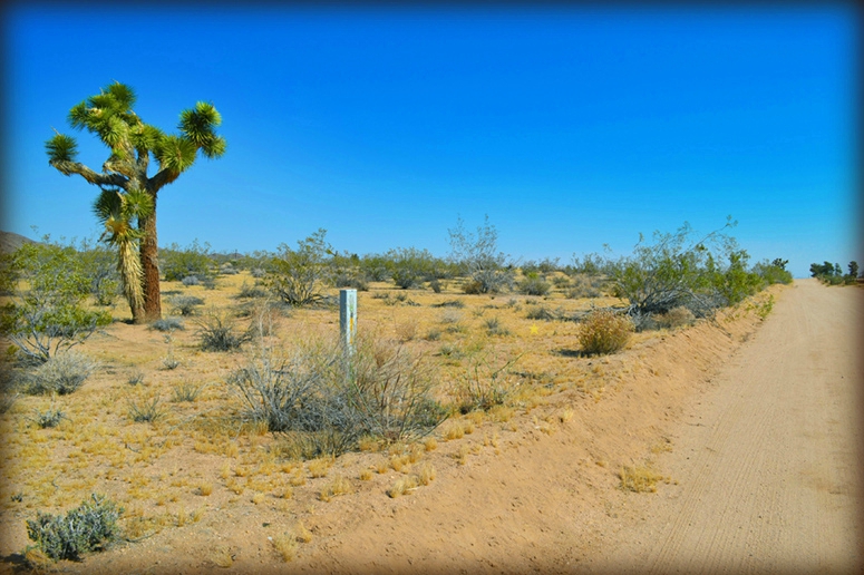 Cambria Avenue 001