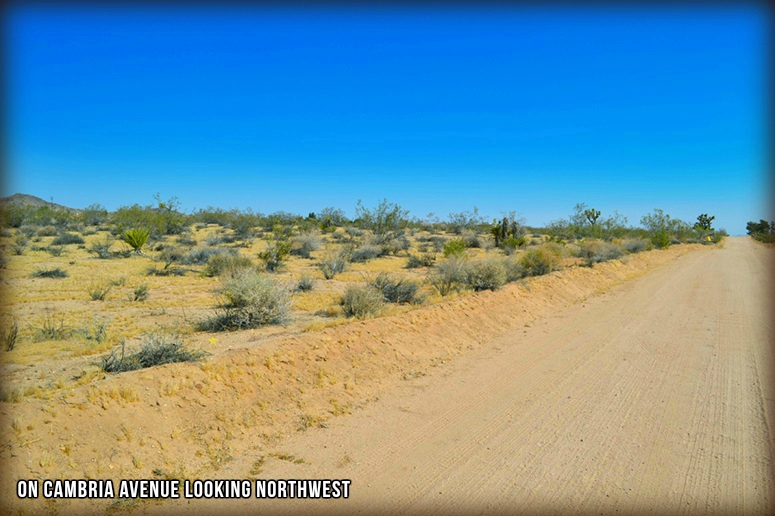 Cambria Avenue 001