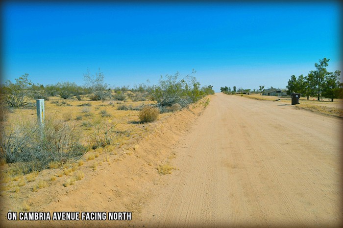 Cambria Avenue 001