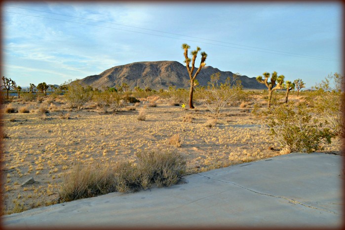 Mitch Road
